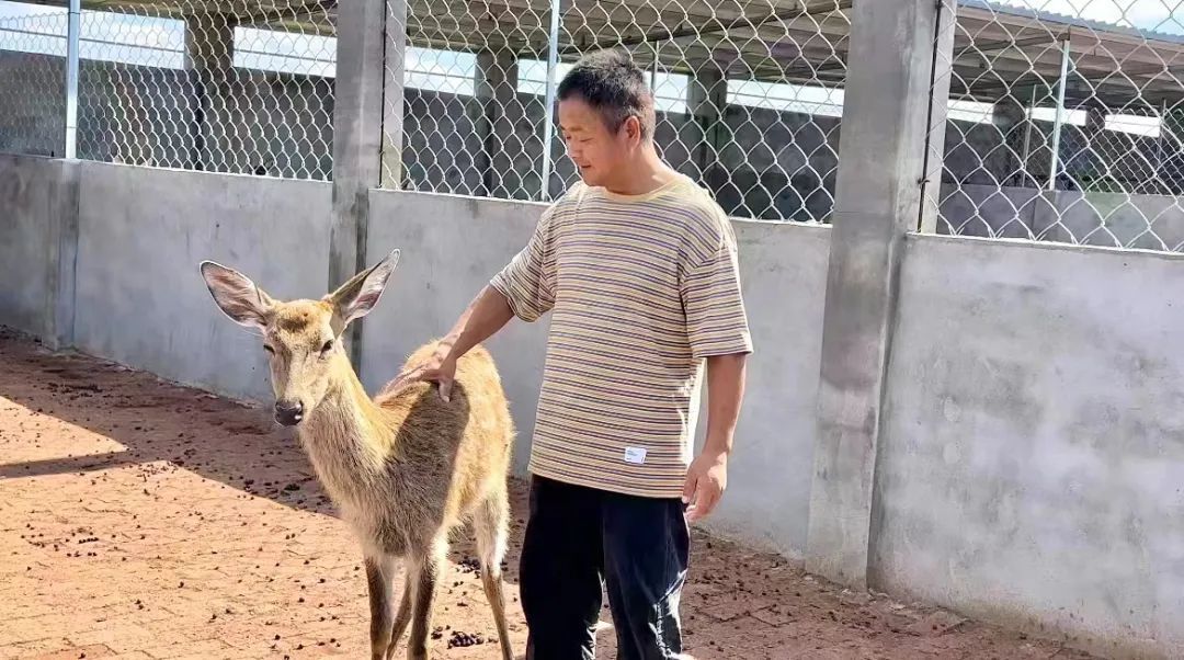 伯爵2登录